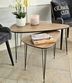 Zestaw 2  stolików kawowych 